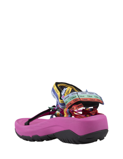 Shop Chloé X Teva Hurricane Xlt2 Ampsole Flat Sandals In Pink Multicolour In Rosa
