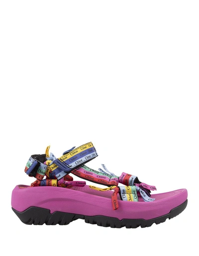 Shop Chloé X Teva Hurricane Xlt2 Ampsole Flat Sandals In Multicolour In Pink