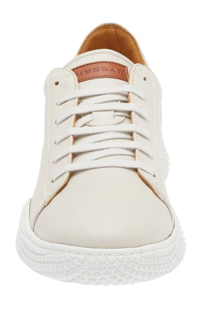 Shop Mezlan Scallop Sneaker In White