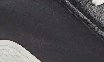 Mezlan Scallop Sneaker In Black