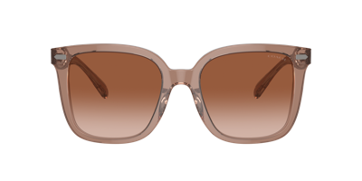 Coach Woman Sunglasses Hc8381u Cl918 In Brown Gradient
