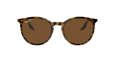 Shop Ray Ban Ray In Brown