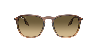 Ray Ban Ray In Brown Black