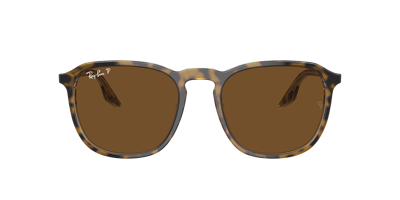 Shop Ray Ban Ray In Brown