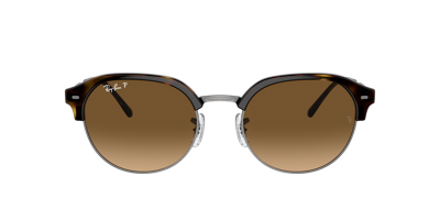 Shop Ray Ban Ray In Brown