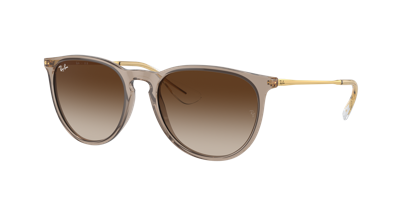 Ray Ban Ray-ban Erika 54mm Gradient Round Sunglasses In Brown