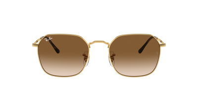 Ray Ban Ray In Light Brown