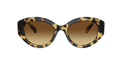 Shop Swarovski Woman Sunglasses Sk6005 In Brown Gradient