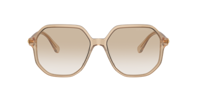 Swarovski Woman Sunglasses Sk6003 In Gradient Light Grey