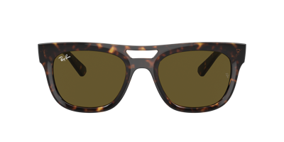 Ray Ban Ray In Dark Brown