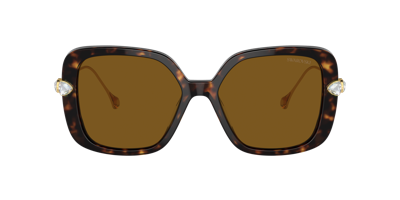 Swarovski Womens Brown Sk6011 Square-frame Tortoiseshell Acetate Sunglasses In Polar Brown