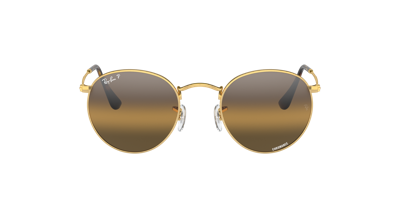 Ray Ban Ray In Silver,brown