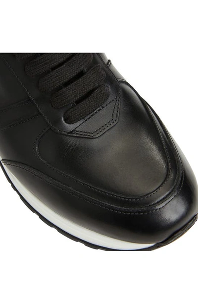 Shop Bruno Magli Ace Sneaker In Black