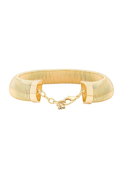 Shop Rosantica Elettra Choker Necklace In Gold