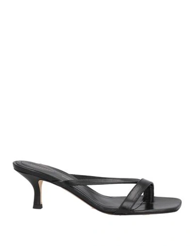 Shop Liviana Conti Woman Sandals Black Size 6 Soft Leather