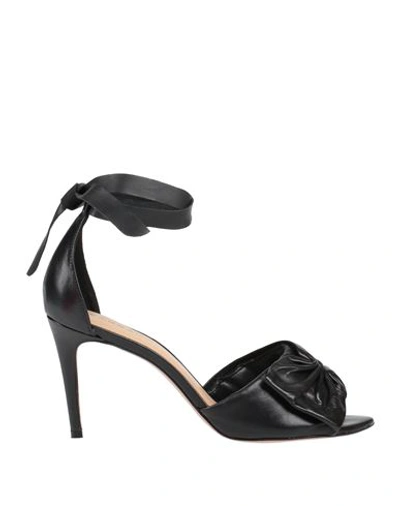 Shop Carrano Woman Sandals Black Size 6 Leather