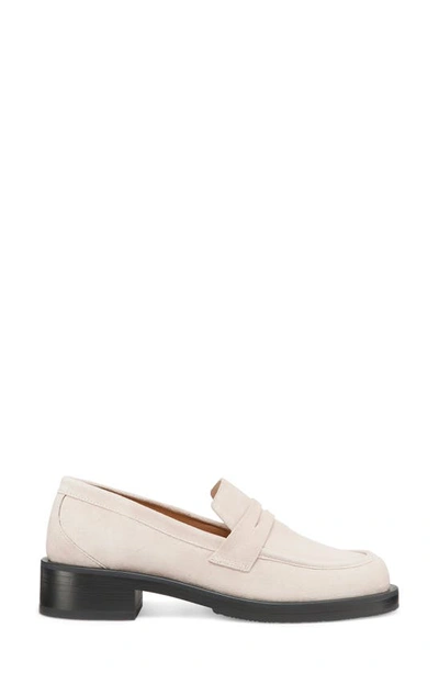 Stuart Weitzman Palmer Suede Penny Loafers In Sabbia Leather