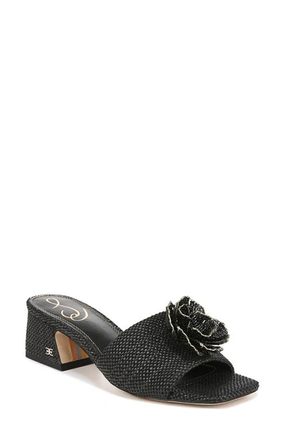 Shop Sam Edelman Winsley Raffia Slide Sandal In Black