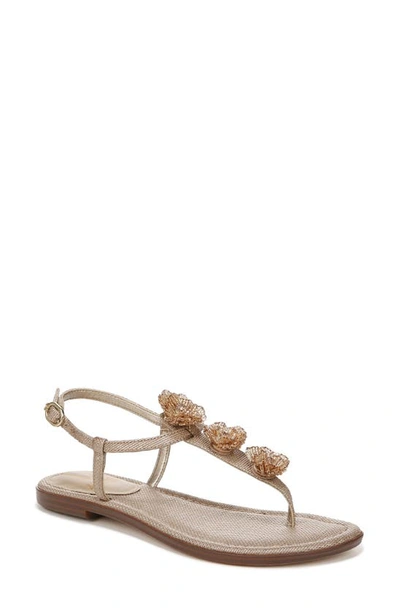 Shop Sam Edelman Gigi Flora Sandal In Blush