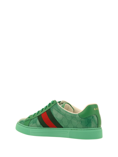Shop Gucci Ace Sneakers In N.sha/n.sha/vrv