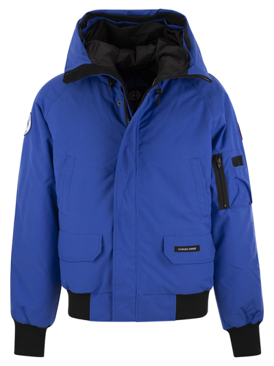 Shop Canada Goose Chilliwack - Hooded Bomber Jacket In Royal Blue