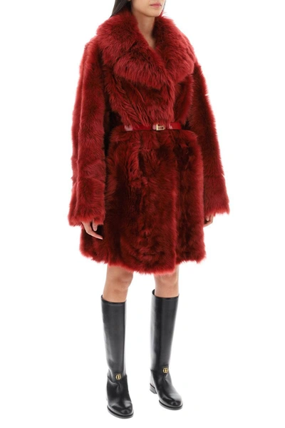 Shop Bally Belted Shearling Fur Coat In Red