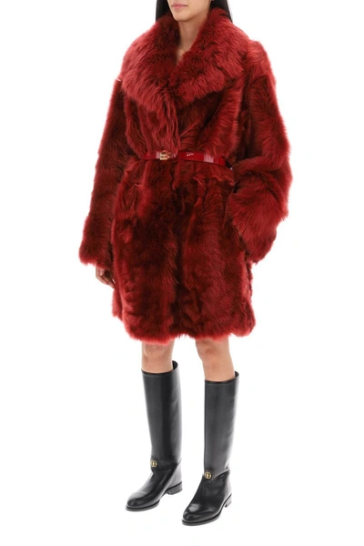 Shop Bally Belted Shearling Fur Coat In Red