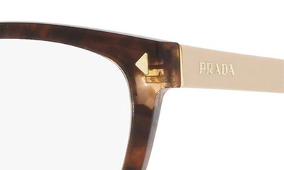 Prada Tortoiseshell-effect Square-frame Glasses In Dark Havana
