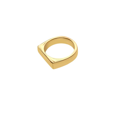 Shop Blooh Tavas Flat Ring In Gold