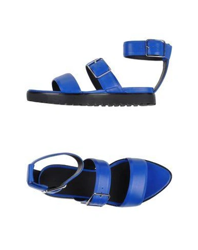 Shop Alexander Wang Sandals In Bright Blue