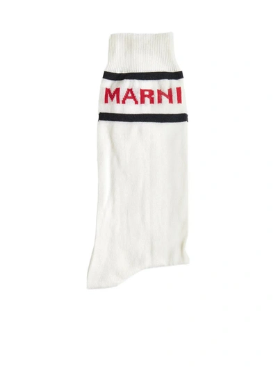 Shop Marni Underwear In Lily White