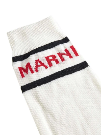 Shop Marni Underwear In Lily White