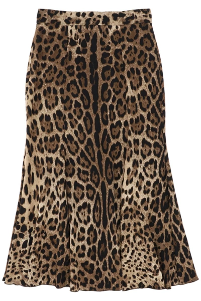 Shop Dolce & Gabbana Leopard Print Jersey Midi Skirt In Mixed Colours