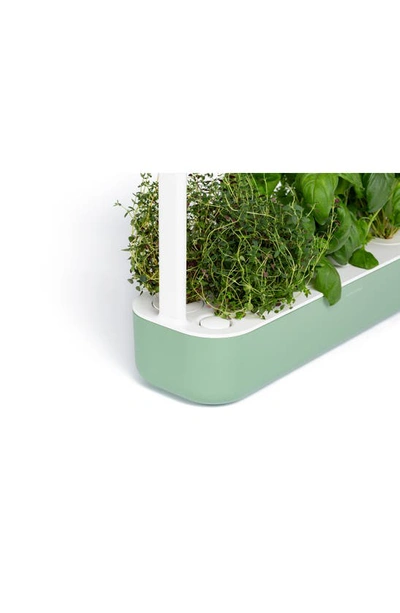Click & Grow Smart Garden 9 Self Watering Indoor Garden In Sage