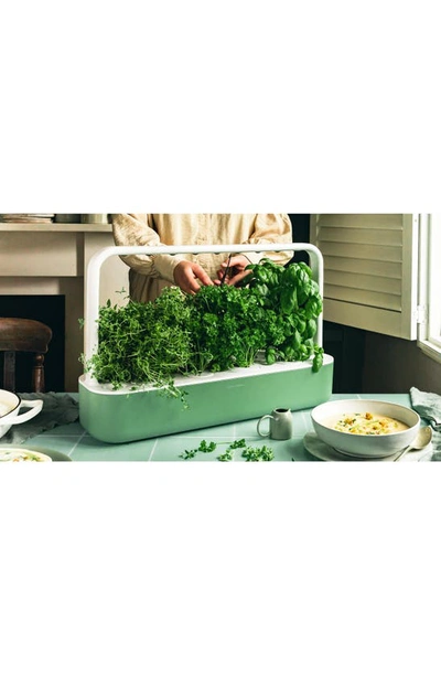 Click & Grow Smart Garden 9 Self Watering Indoor Garden In Sage