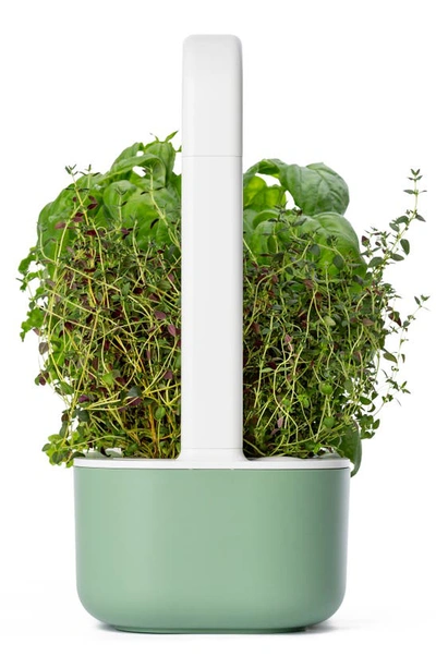 Click & Grow Smart Garden 9 Self Watering Indoor Garden In Sage