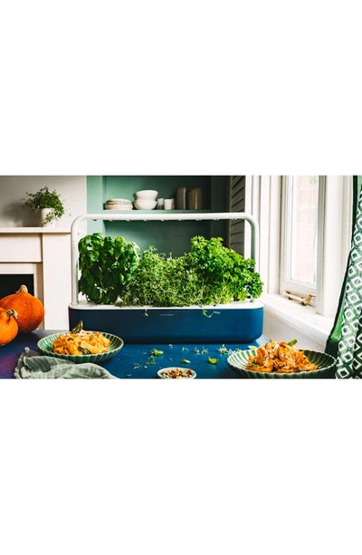 Shop Click & Grow Smart Garden 9 Self Watering Indoor Garden In Navy Blue
