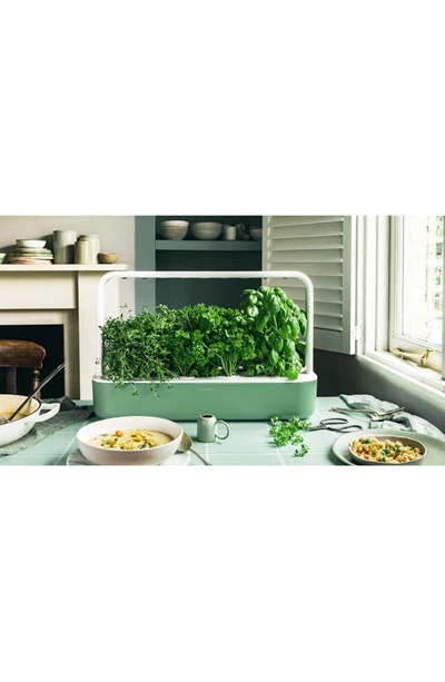 Click & Grow Smart Garden 9 Self Watering Indoor Garden In Sage