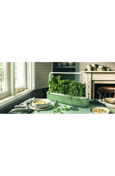 Click & Grow Smart Garden 9 Self Watering Indoor Garden In Sage