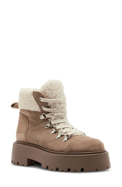 Shop Steve Madden Reyen Platform Boot In Oatmeal Suede