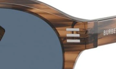 Shop Burberry 50mm Phantos Sunglasses In Brown