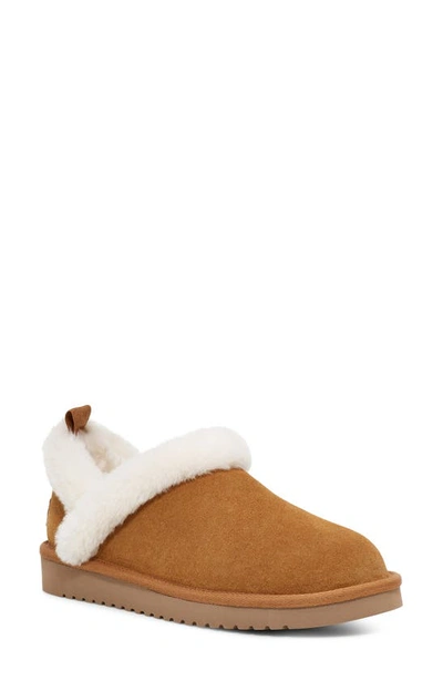 Shop Koolaburra By Ugg ® Advay Faux Fur Lined Slipper In Chestnut