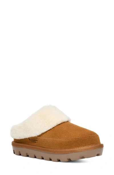 Shop Koolaburra By Ugg Tizzey Faux Fur Lined Slipper In Chestnut