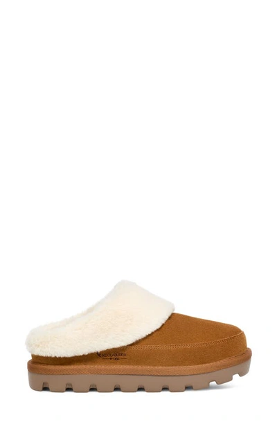 Koolaburra By Ugg Tizzey 1145930 Clog Women 8 Chestnut Faux Fur Slippers Rhs3697 In Orange
