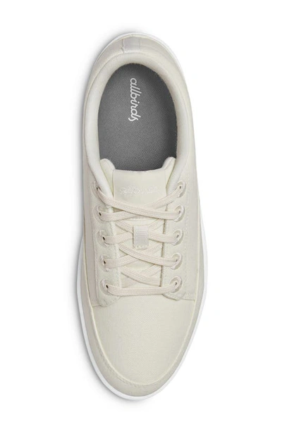 Shop Allbirds Canvas Pacer Sneaker In Natural White/ Blizzard