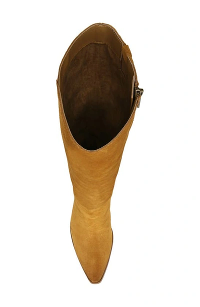 Shop Sam Edelman Annabel Knee High Boot In Toasted Chestnut