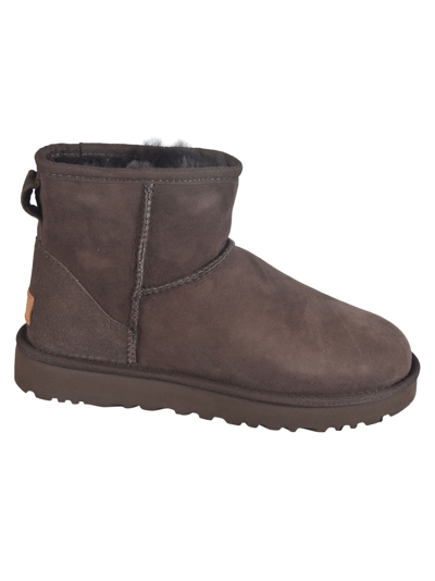 Shop Ugg Classic Mini Ii Ankle Boots In Chocolate