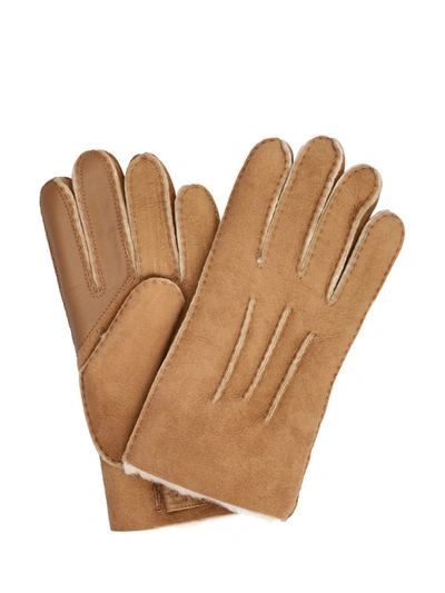 Shop Ugg Gloves In Chestnut
