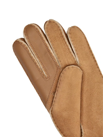 Shop Ugg Gloves In Chestnut