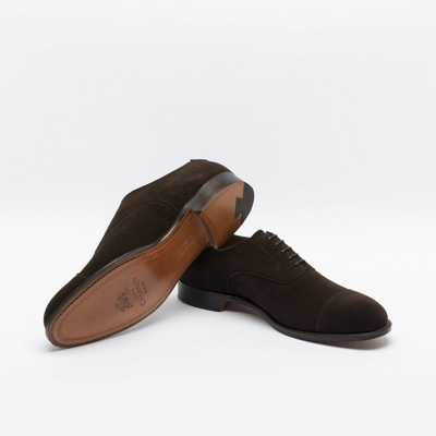 Shop Cheaney Bitter Chocolate Suede Shoe In Marrone
